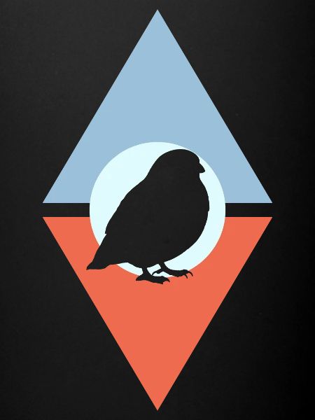 Perruche Oiseau Volant