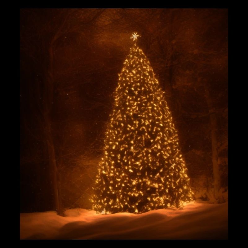 Arbre de Noël