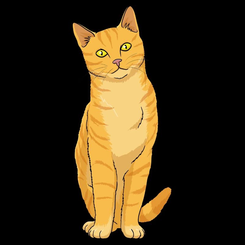 Cat Ginger