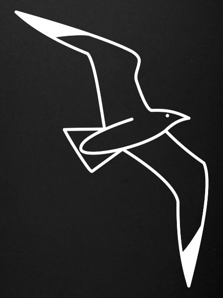 Möwe - Nordsee