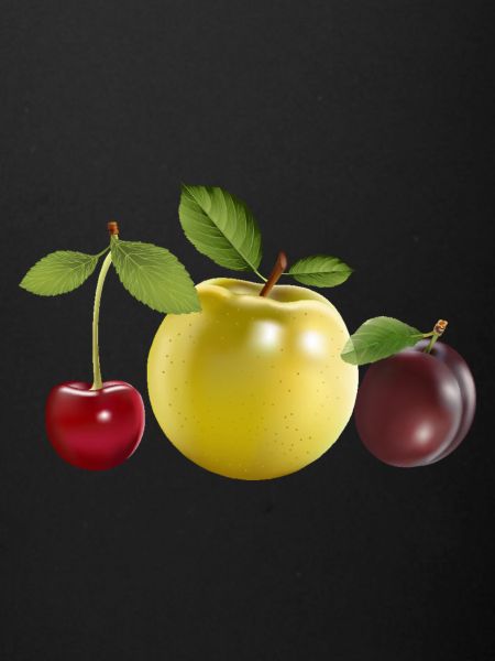 fruit