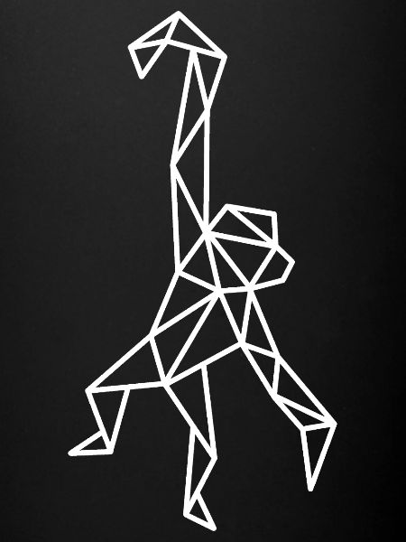 Monkey Geometric Line