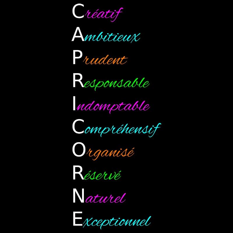 CAPRICORNE Créatif Ambitieux Prudent Responsable