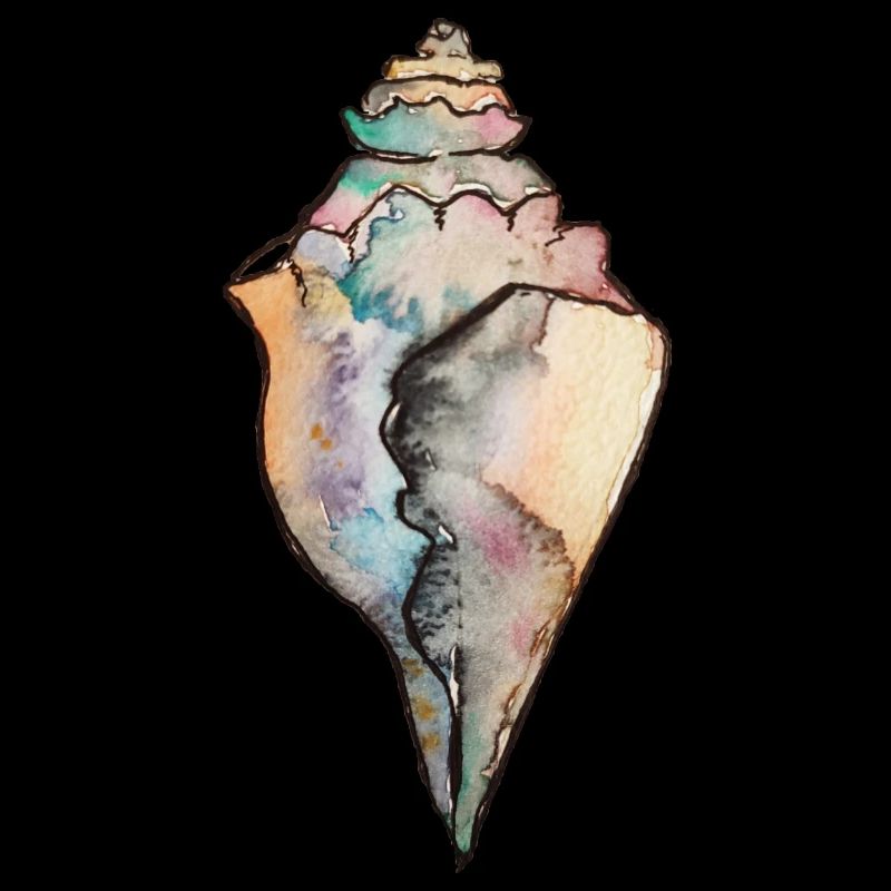 coquillage