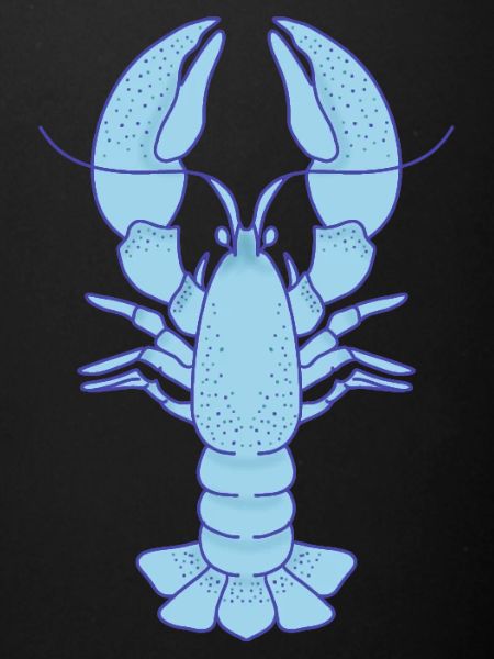 Blue Lobster Pop Art