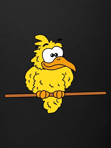 Canaris Drôle Mignon