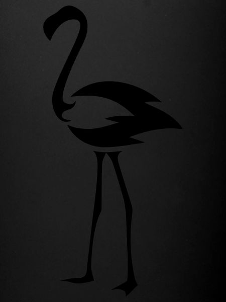 Oiseau Flameingo