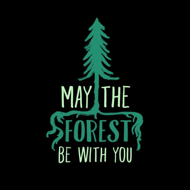 May the Forest be with you