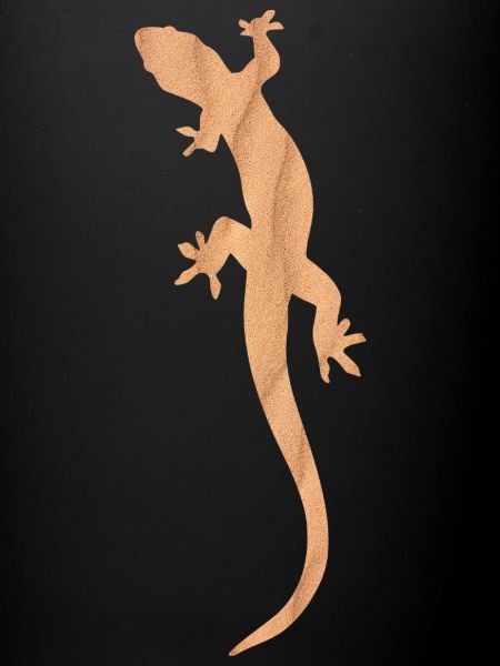 Salamandre de sable