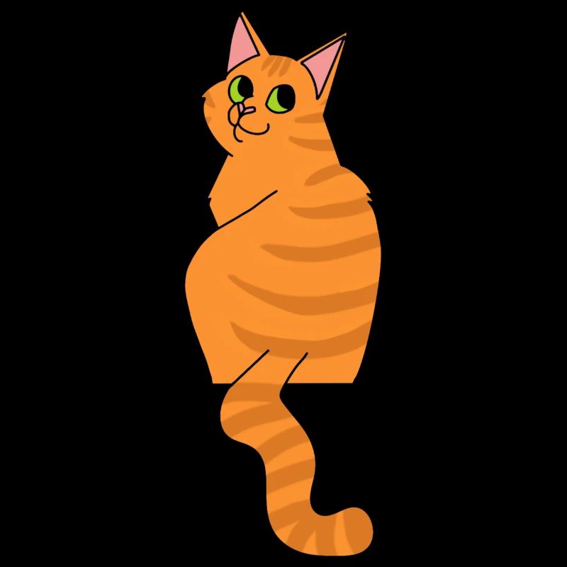 Chat rouge