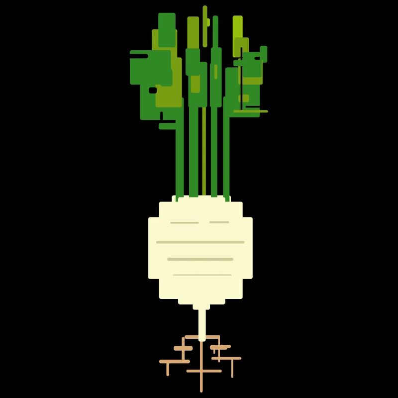 Kohlrabi