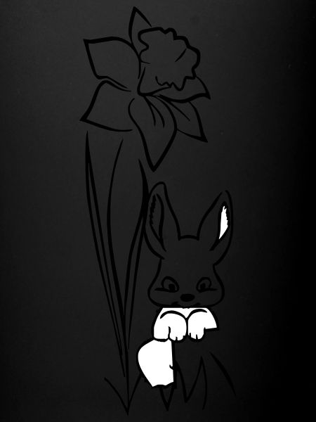 Bunny