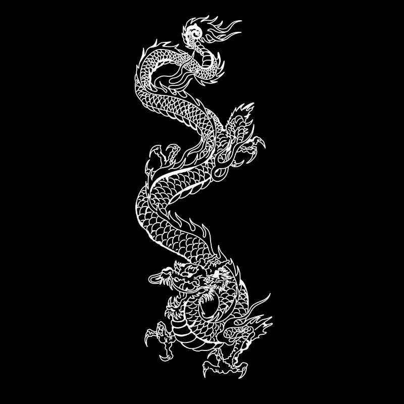 Dragon28 Schwarz