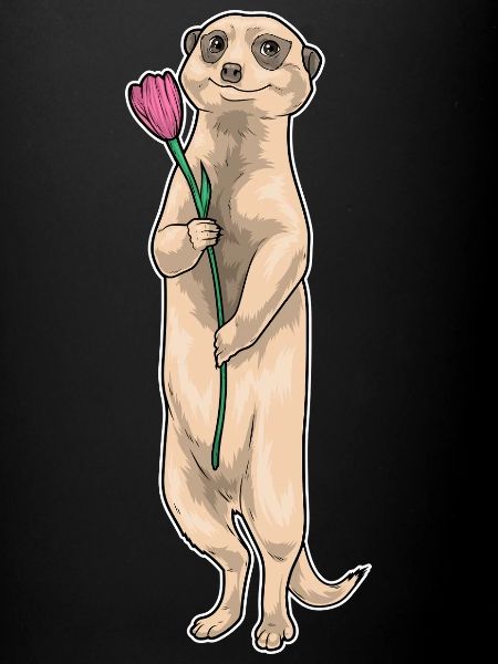 Erdmännchen Tulpe