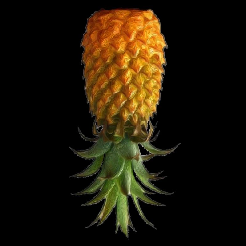 Pineapple Upside Down - pineapple on the head