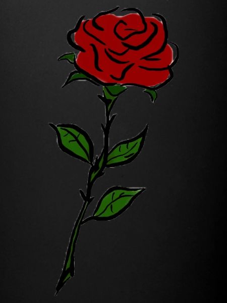 Rose