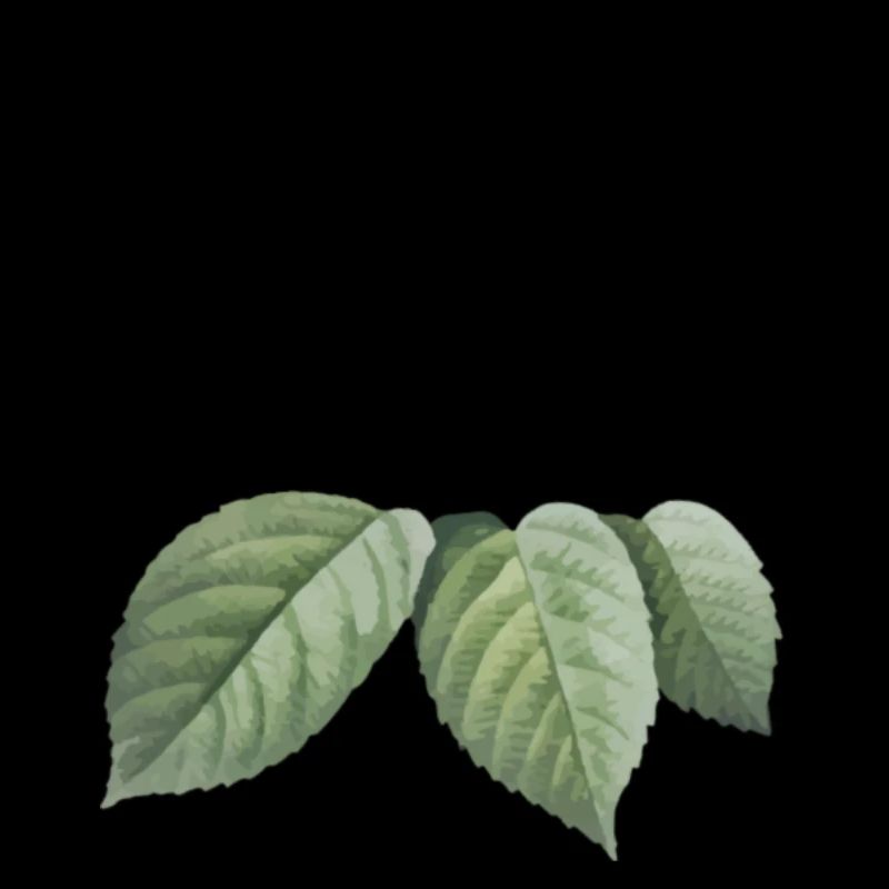 Junggesellenabschied