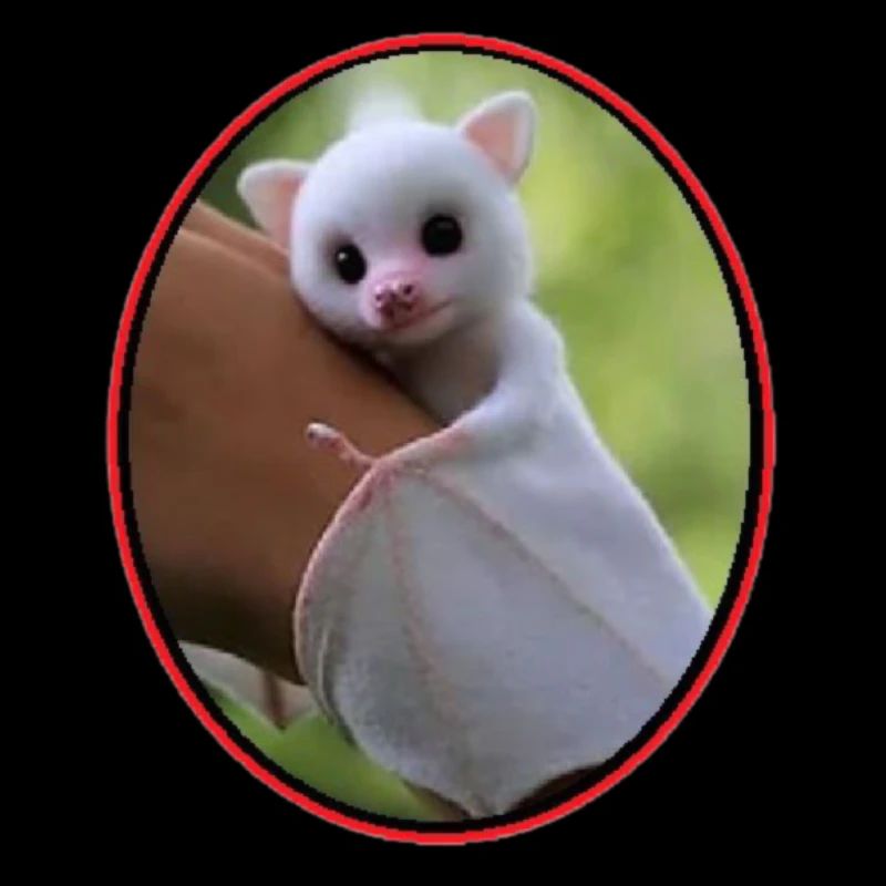 White mouse bat