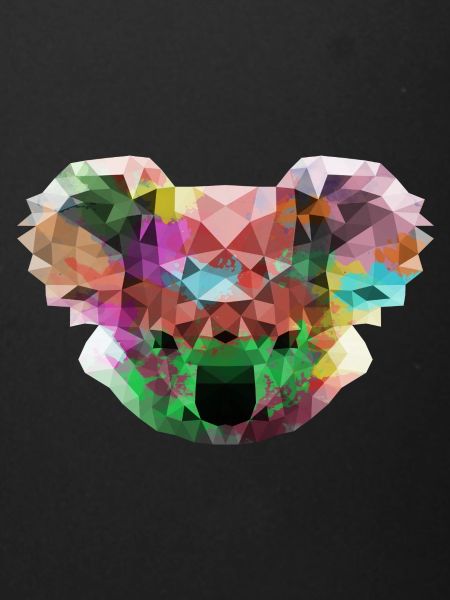 koala