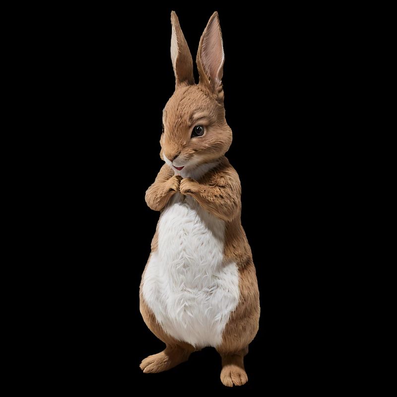 Mignon Lapin Marron 21