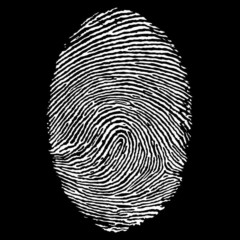 fingerprint