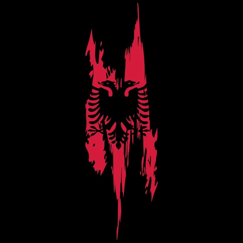 Conception de l’albanaise