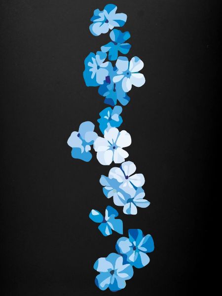 fleurs bleues oublie-moi-pas