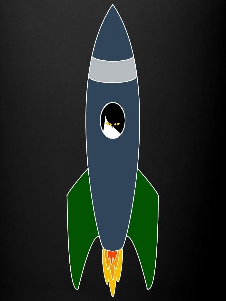 Cat in space