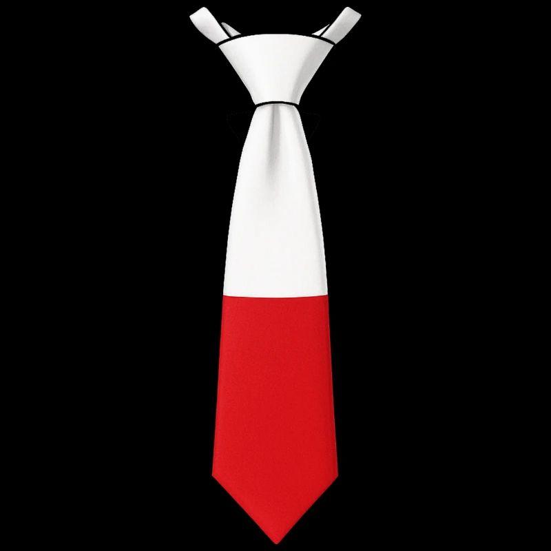 Poland Tie – Flaggendesign