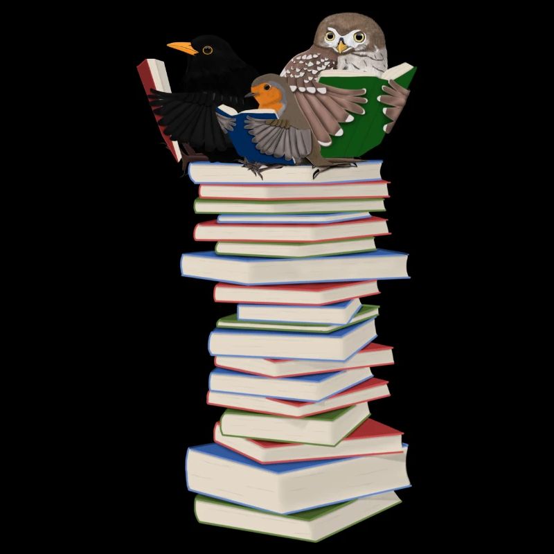 Rotkehlchen Amsel Eule lesen Bücher Vogel