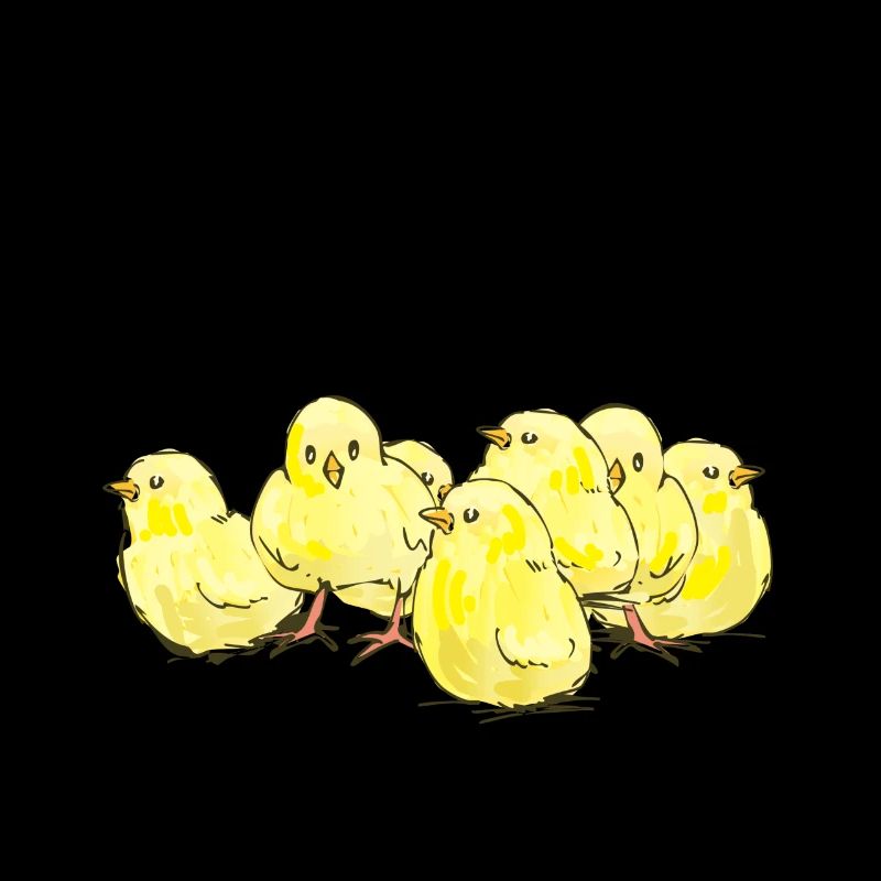Beaucoup de petits poussins Le cadeau parfait