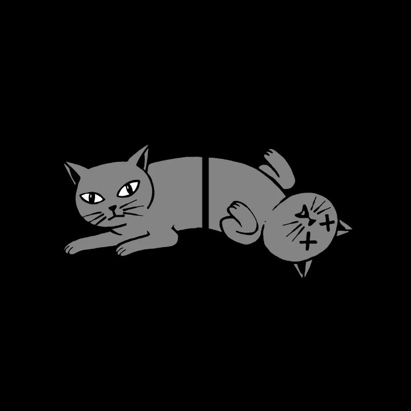 Schroedingers Cat Schrödingers Chat Physique