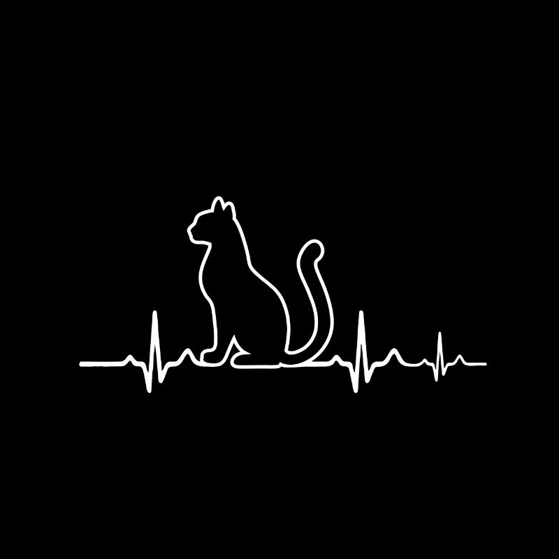 Katze
