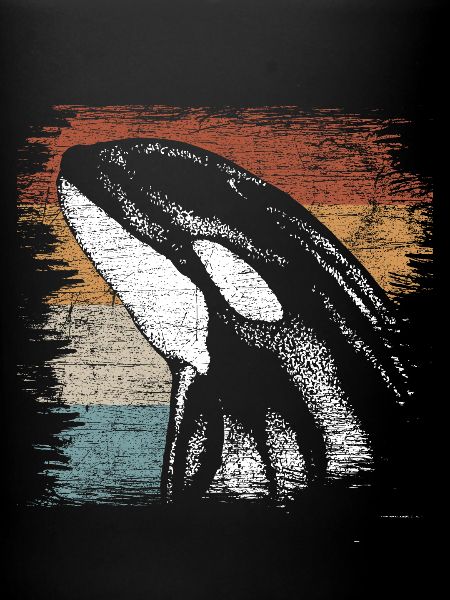 killer whale