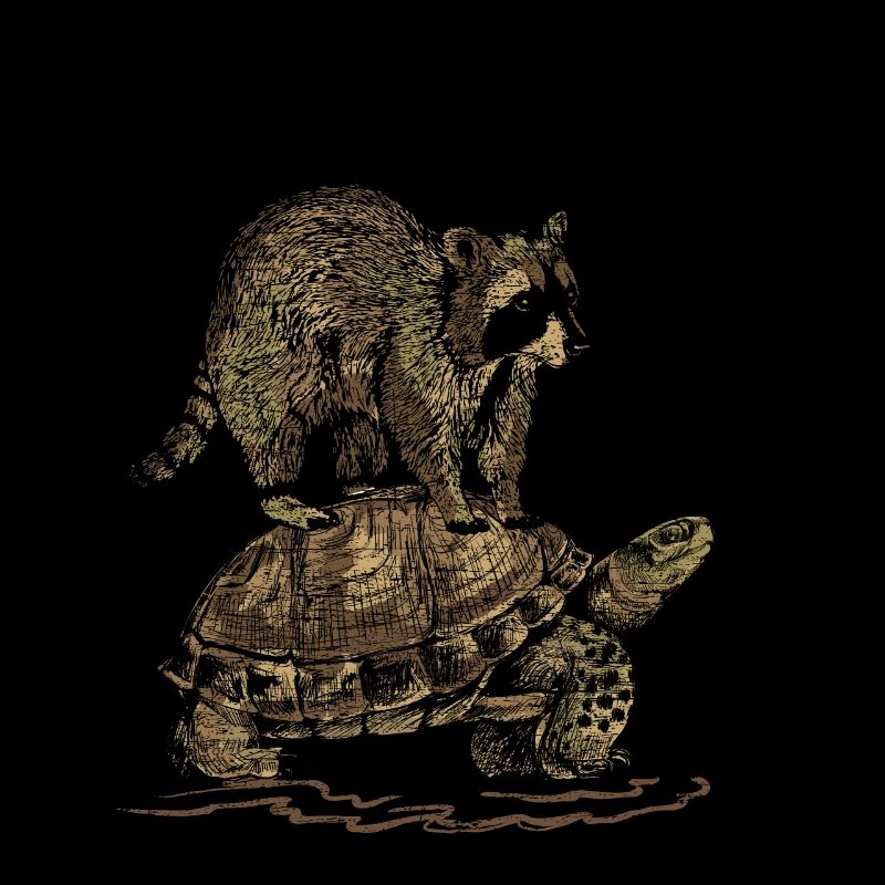 Raccoon and turtle