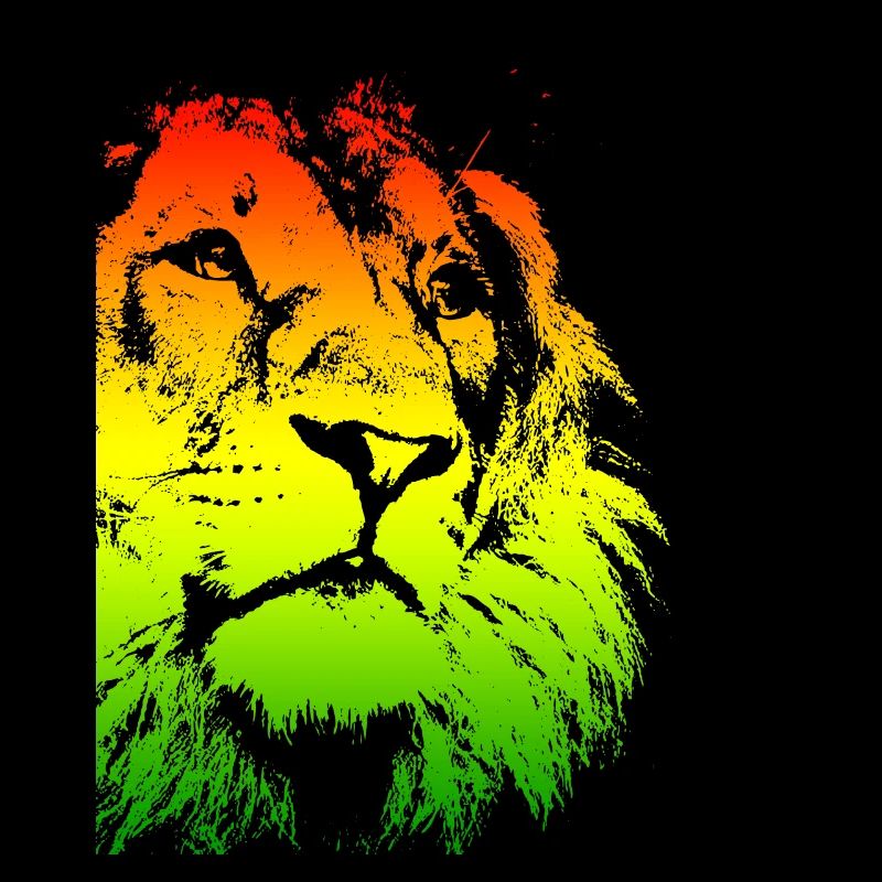 Lion's head