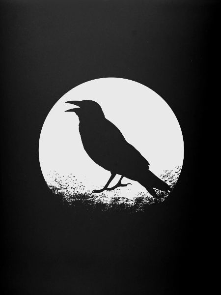 Crow gift bird