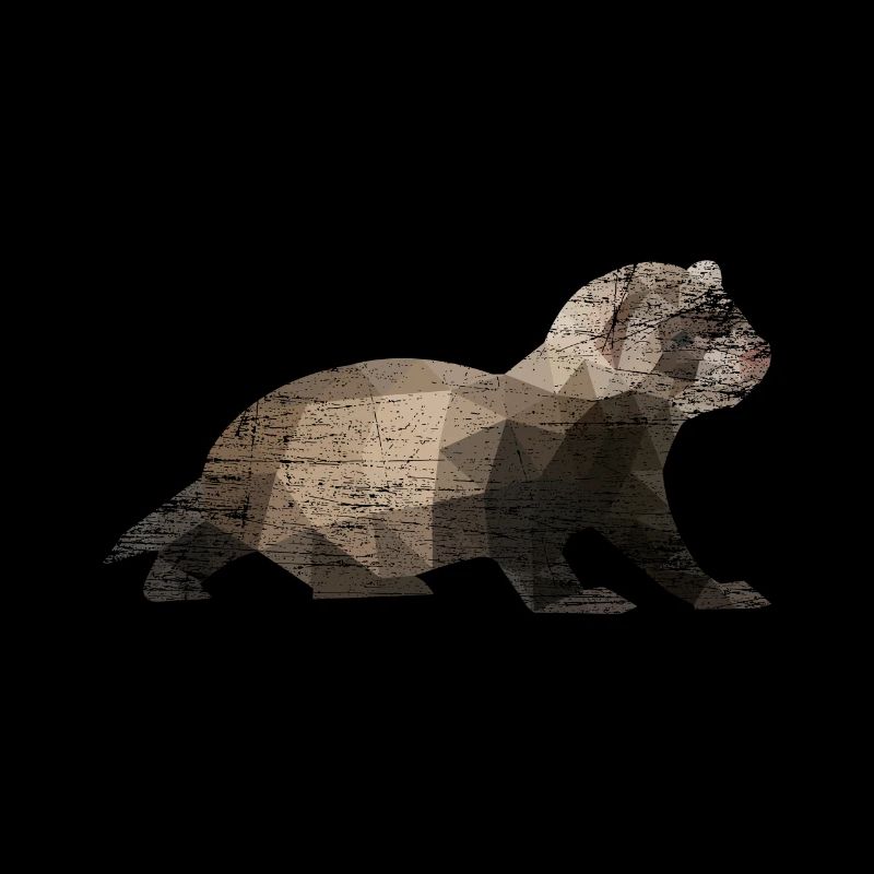 Furet polygone polecat