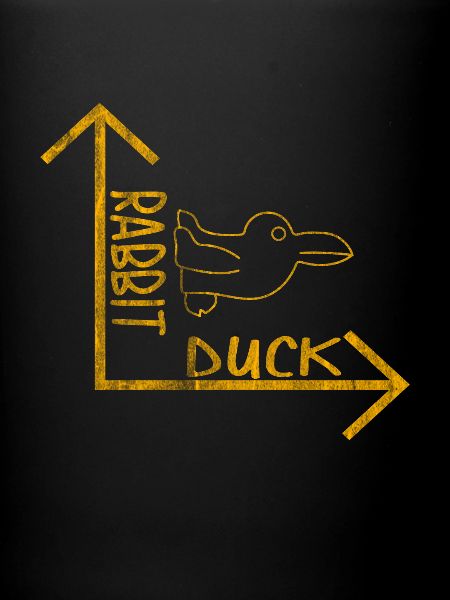 Lapin de canard