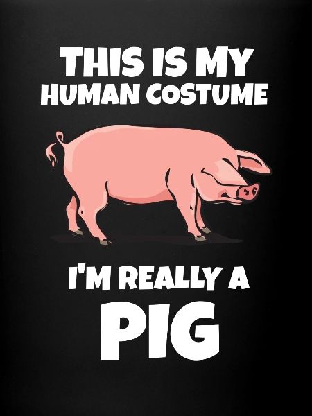 pig