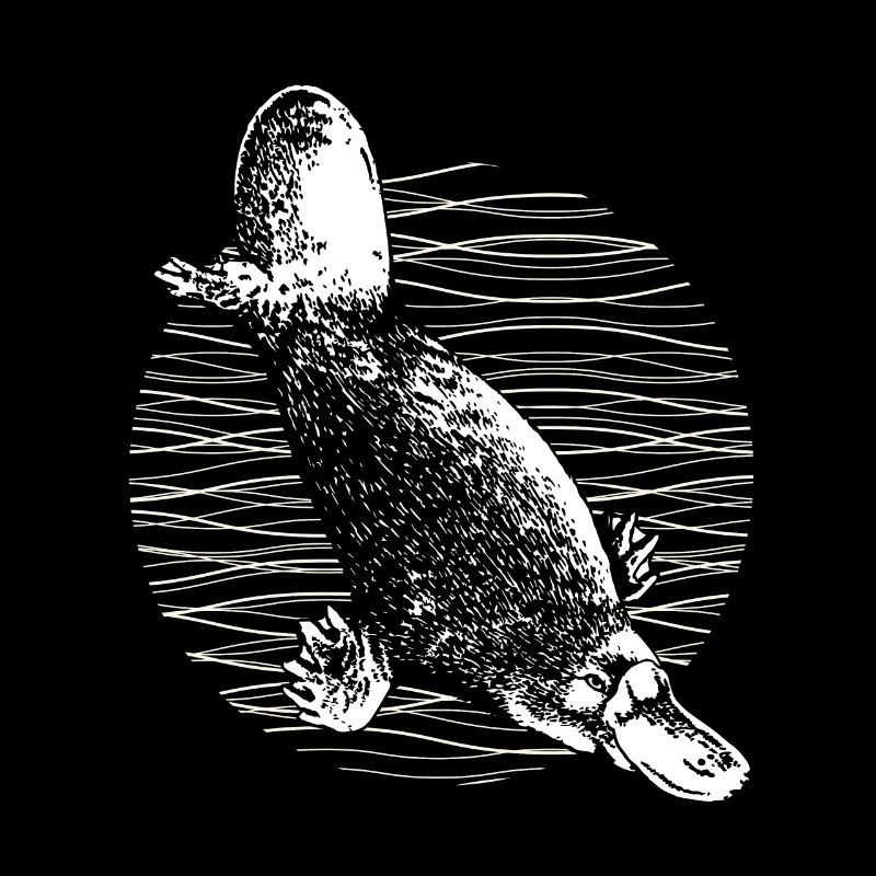 Amoureux de l'ornithorynque