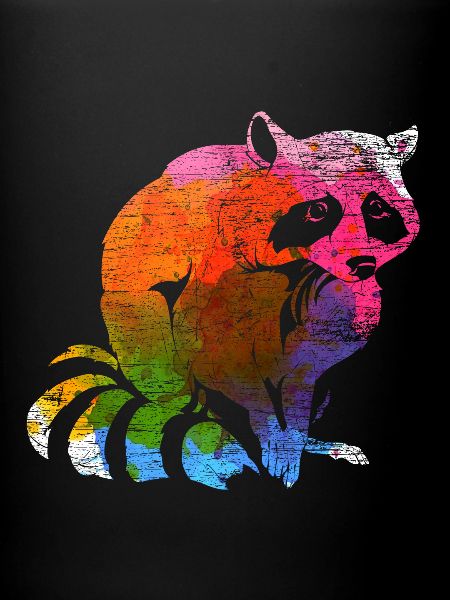 racoon