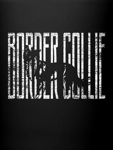 Border collie