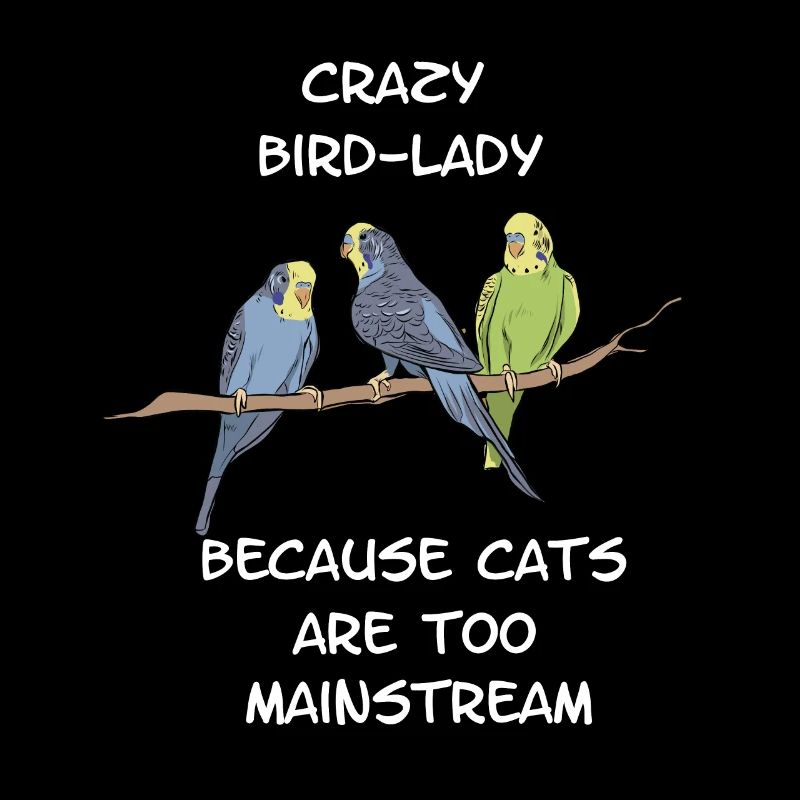 Budgerigar parakeet bird