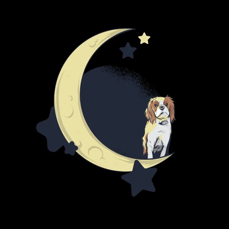 Cavalier King Charles Spaniel