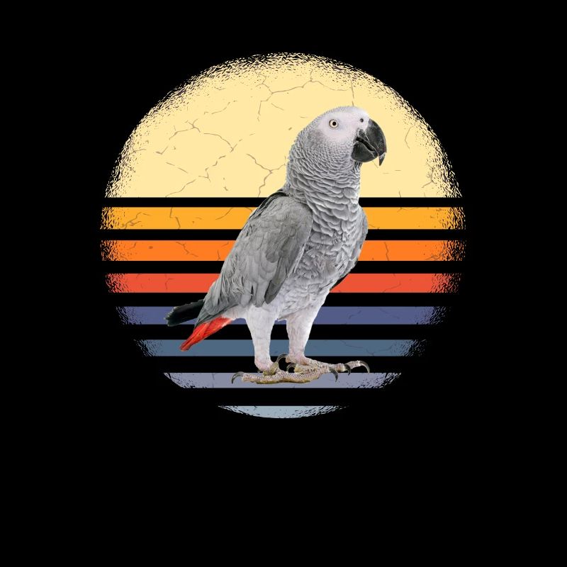 gray parrot
