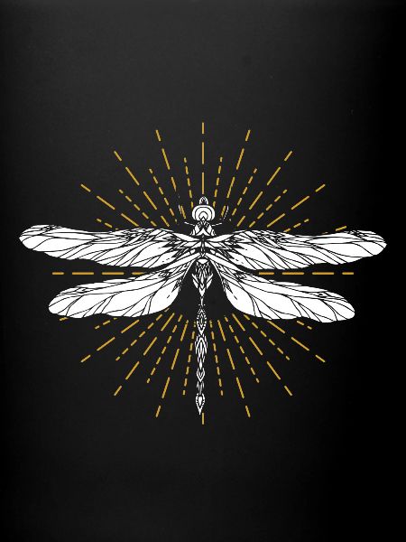 Dragonfly animal