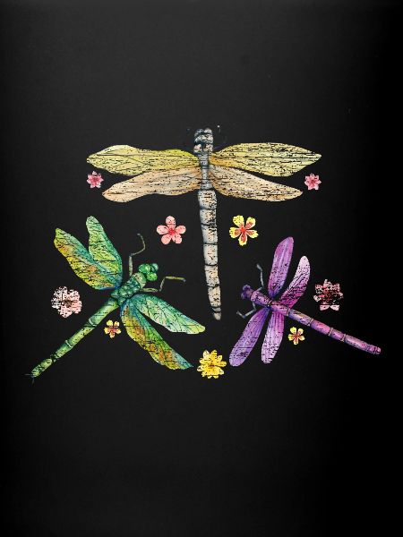 Voleur de libellule
