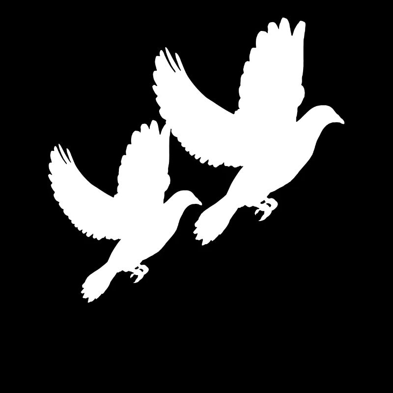 colombe