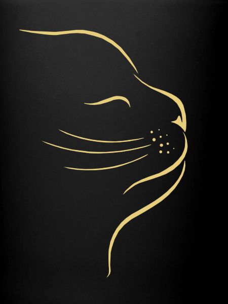 chat